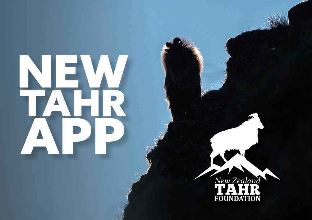 New Tahr App